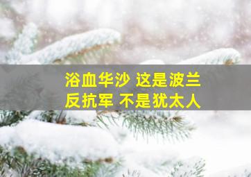 浴血华沙 这是波兰反抗军 不是犹太人